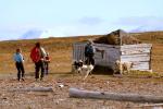 2012 Svalbard Islands - guide dogs